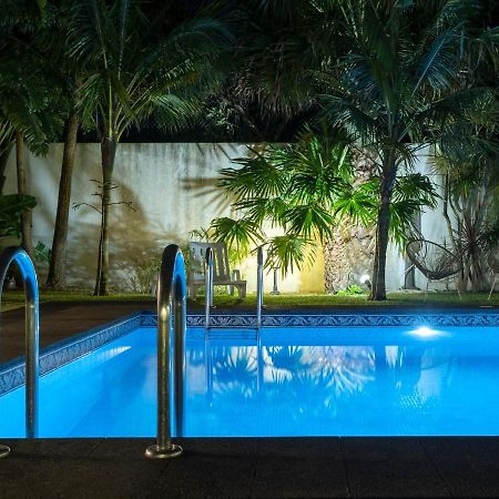Casa Das Clivias Ponta Delgada Eksteriør bilde